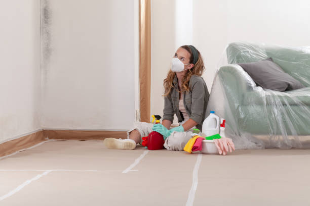Reliable Basement Mold Removal contractor in Bridgewater, VA by WQB Mold Removal